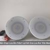 Vì Sao Nên Chọn Loa Âm Trần? Lợi Ích Của Loa Âm Trần Mang Lại