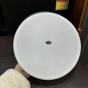 Loa âm trần 30/60W CSK-613HR