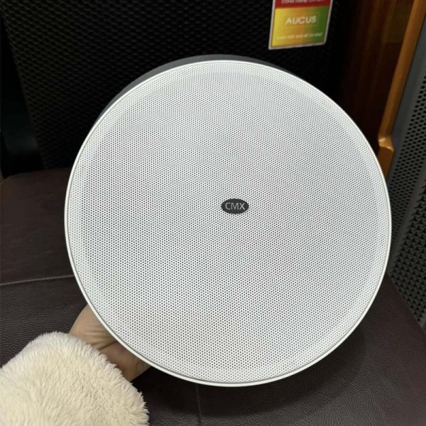 Loa âm trần 30/60W CSK-613HR