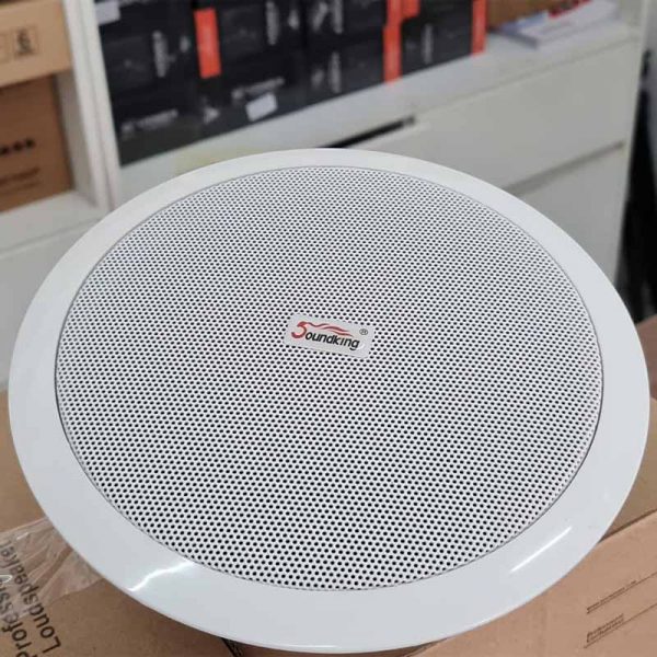 Soundking CS-648 thực tế loa âm trần