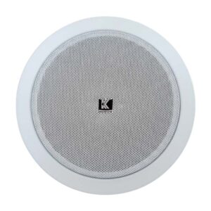 Loa âm trần IP Kasen VS-610P