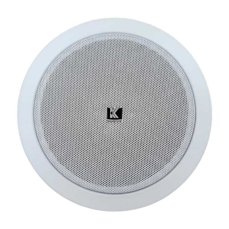 Loa âm trần IP Kasen VS-610P