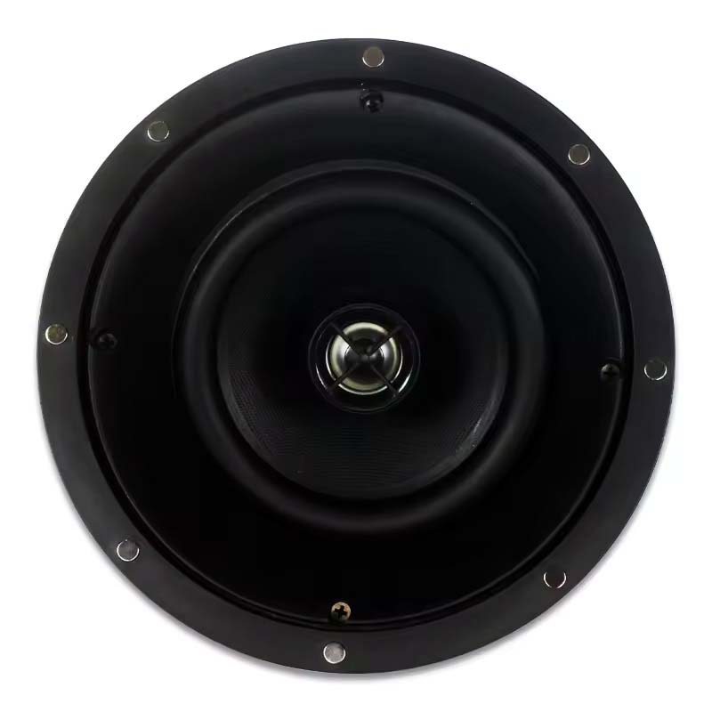 Loa gắn trần Kasen CLS-717 Hifi 60W